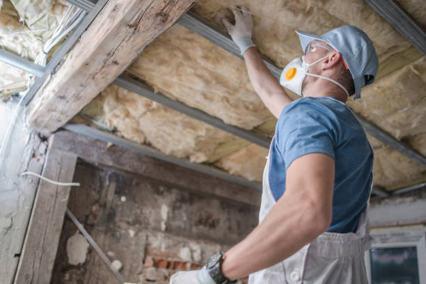 Best Attic Insulation Near Me  in Mammoth, AZ