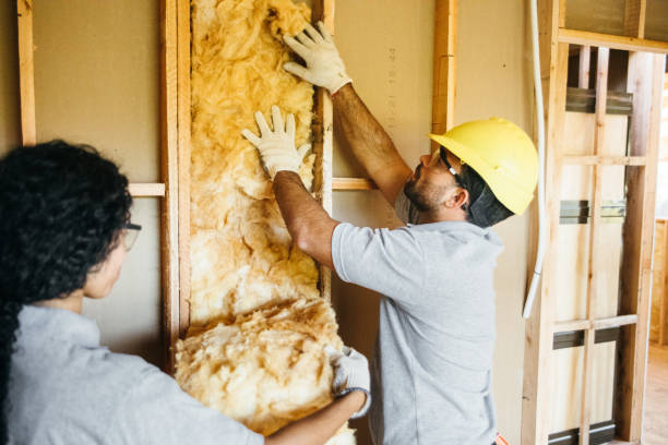 Attic Insulation Near Me in Mammoth, AZ