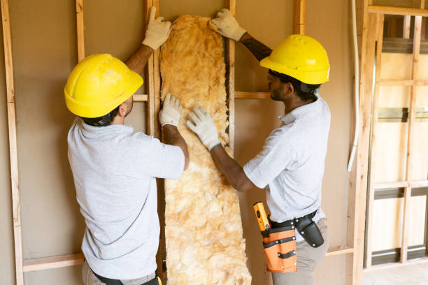 Best Spray Foam Insulation  in Mammoth, AZ